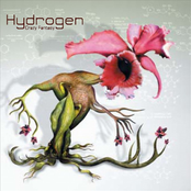 Iron Side by Hydrogen