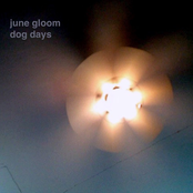 Dog Days