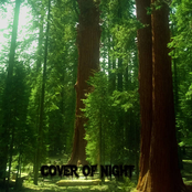 Cover of Night