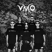 vmo