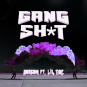 Dotcom: Gang Shit