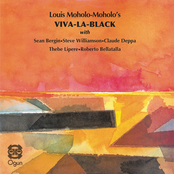 Viva La Black (feat. Sean Bergin, Steve Williamson, Claude Deppa, Thebe Lipere & Roberto Bellatalla)