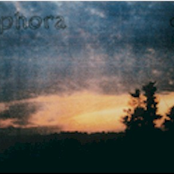 diesmal (remastered)