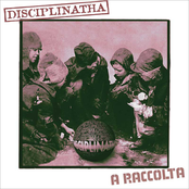 Tu Meriti Il Posto Che Occupi by Disciplinatha