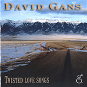 David Gans: Twisted Love Songs