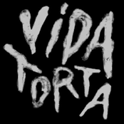 vida torta