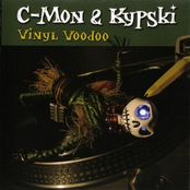 Vinyl Voodoo Album Picture