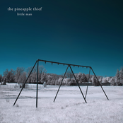 Run A Mile by The Pineapple Thief