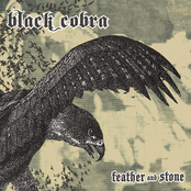 The Sapphire Falcon by Black Cobra