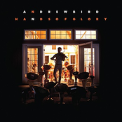 Orpheo by Andrew Bird