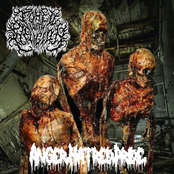 Anger. Hatred. Pride.