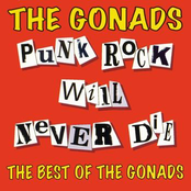 Punk Rock Will Never Die - the best of the Gonads