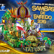 Sambas de Enredo São Paulo 2019