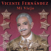 Por Ti by Vicente Fernández