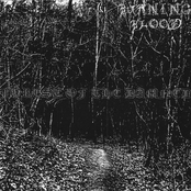 Forest Of The Damned