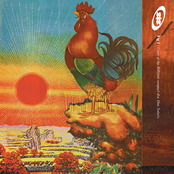 Bird by 808 State