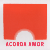 ACORDA AMOR