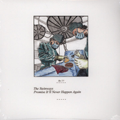 It'll Never Happen Again