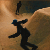 The Tree You Eat From