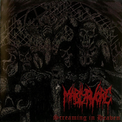 Witch Tomb / Martyrvore