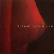 Anything by The Golden Palominos