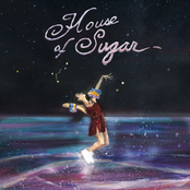 (Sandy) Alex G: House of Sugar