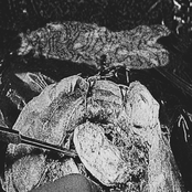 Entereoectasis