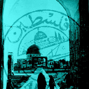 فلسطين