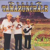 Trio Tamazunchale