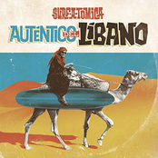 Auténtico del Líbano