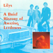 Lilys: A Brief History of Amazing Letdowns