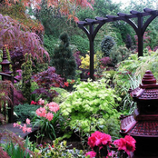 Feng Shui Garden