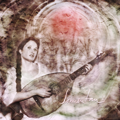 Das Laub fällt von den Bäumen