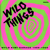 Wild Things: Wild Kiwi Garage 1966-1969