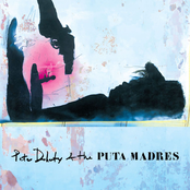Peter Doherty & the P**a Madres
