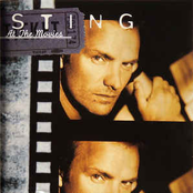 Sting at the Movies