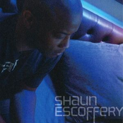 Who Is He And What Is He To You by Shaun Escoffery