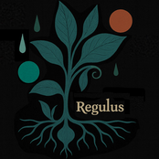 Regulus
