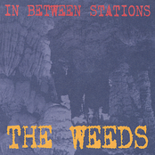 The Weeds: In Between Stations