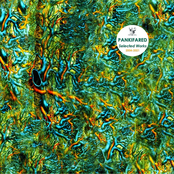 Selected Works 2004-2021