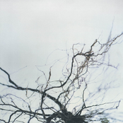 Nova + 4 (Extended Version)