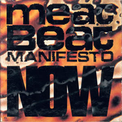 Love Mad by Meat Beat Manifesto