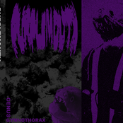 genus gymnothorax tape