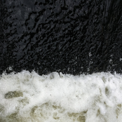 Head Held High [Reissue]