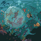 Nature TV: Lady Luck EP