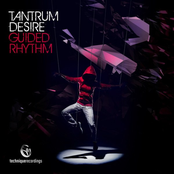 Guided Rhythm by Tantrum Desire