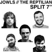 Jowls/The Reptilian