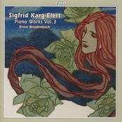 Sigfrid Karg-Elert - Piano Works Vol. 3