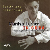 Birds Are Returning