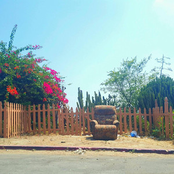 Shrimpnose: 11:11(am)